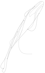ITER